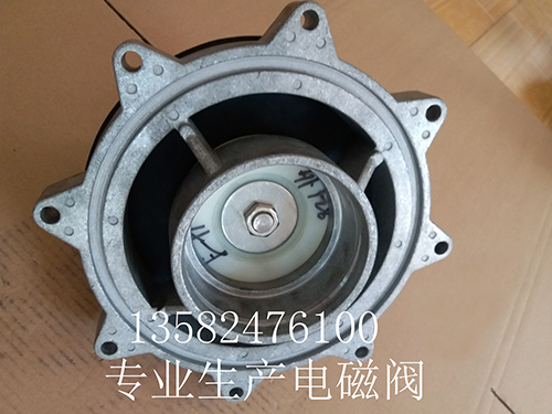 袋式淹没DCF-Y-102   3.5寸阀